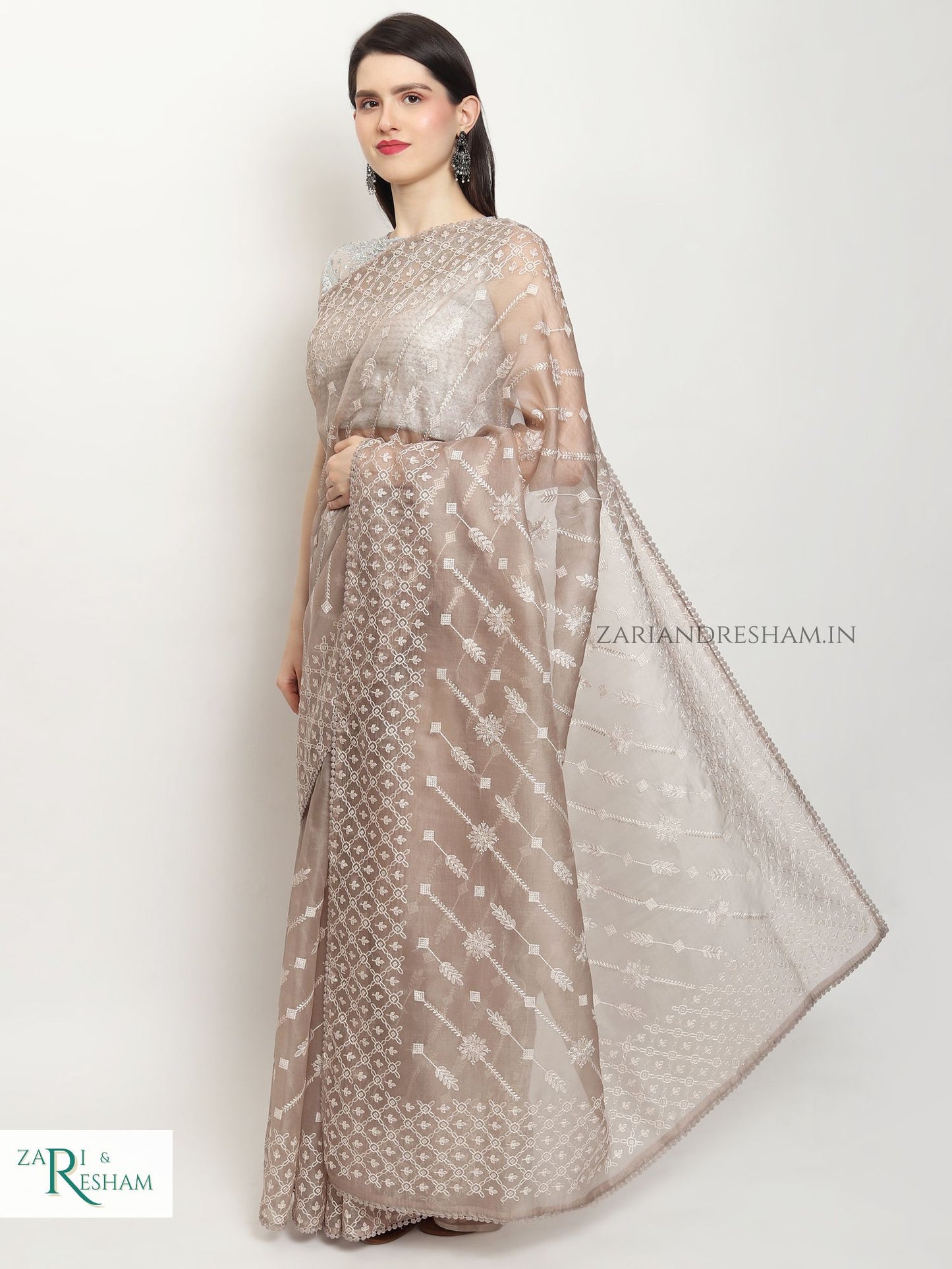 Pure Organza Silk Saree with Beautiful Chikankari Embroidery Work - Mouse Grey