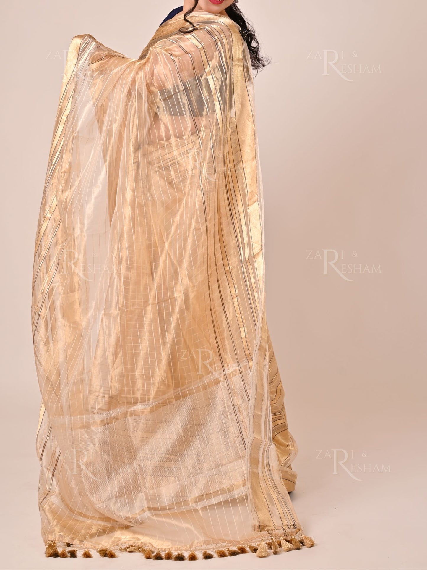 Pure Tissue Silk Sarees with Chinya Stripes - Gold (Natural)