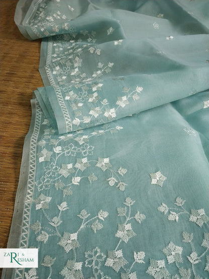 Pure Organza Silk Saree with Beautiful Star Style Embroidery Work - Sky Blue