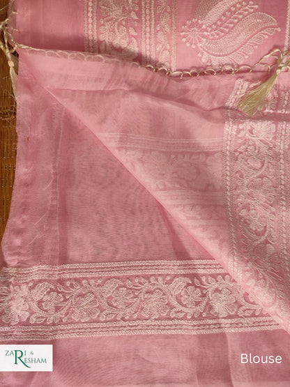 Pure Organza Silk Saree with Beautiful Chikankari Embroidery Work - Baby Pink