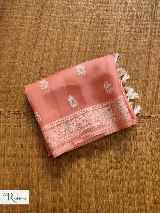 Pure Organza Silk Saree with Beautiful Chikankari Embroidery Work - Peach