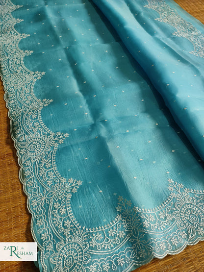 Pure Organza Silk Saree with Beautiful Pearl Style Embroidery Work with Scalloped Edges - Sky Blue