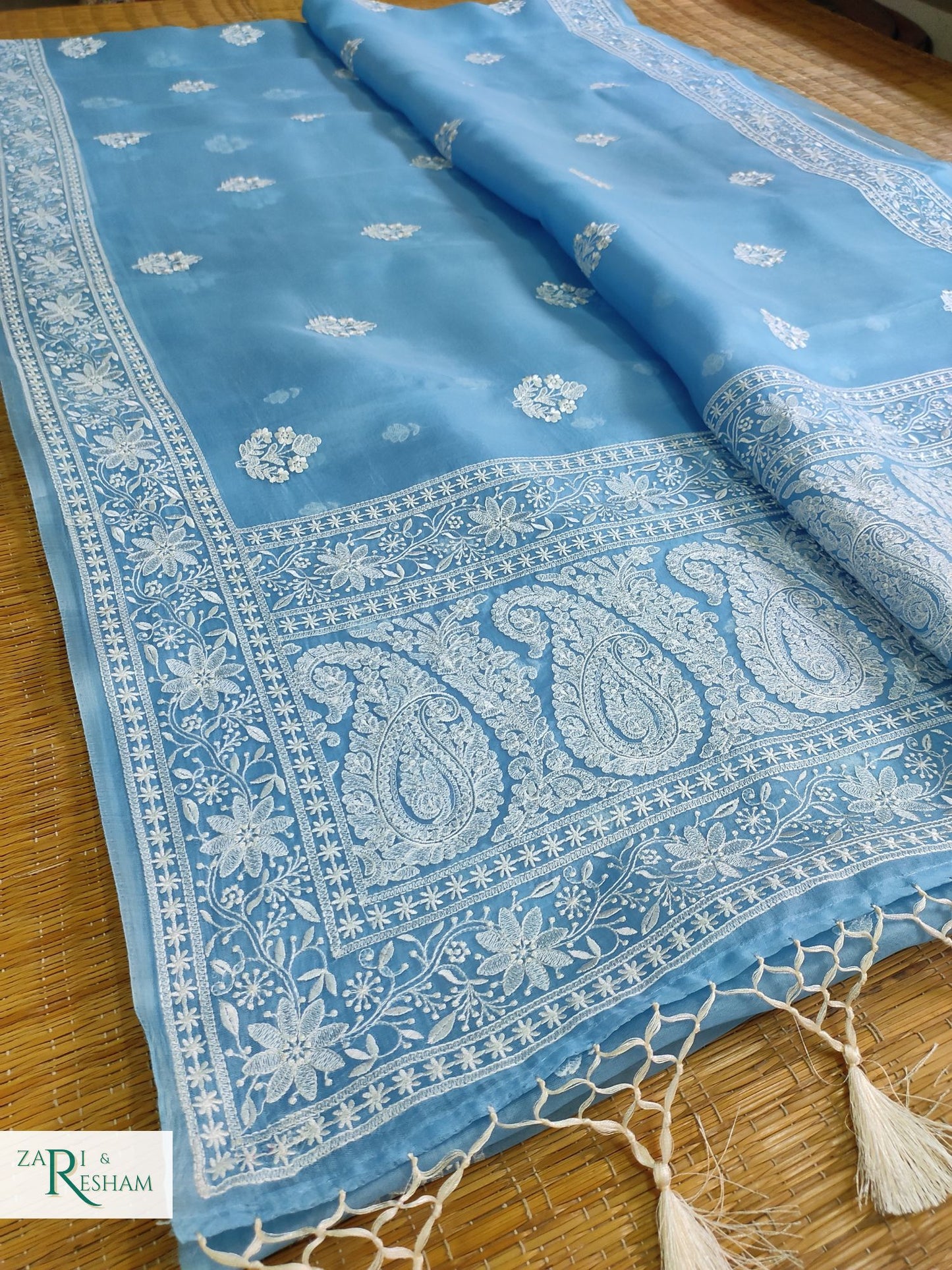 Pure Organza Silk Saree with Beautiful Chikankari Embroidery Work - Sky Blue