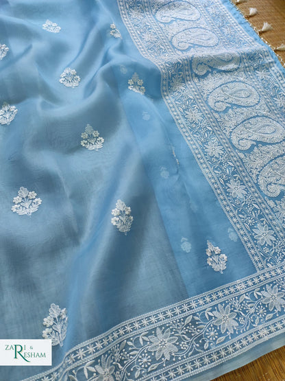 Pure Organza Silk Saree with Beautiful Chikankari Embroidery Work - Sky Blue