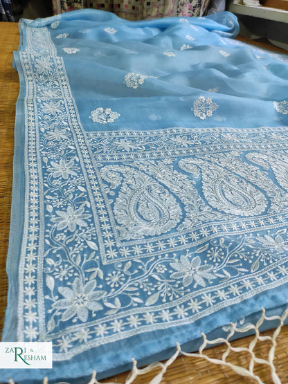 Pure Organza Silk Saree with Beautiful Chikankari Embroidery Work - Sky Blue