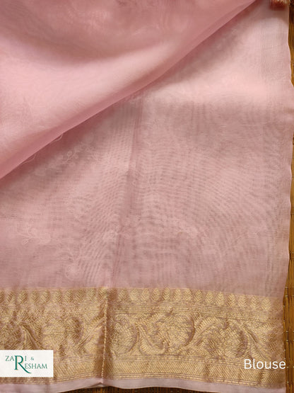 Pure Organza Silk Saree with Banarasi Style Chikankari Embroidery Work - Baby Pink