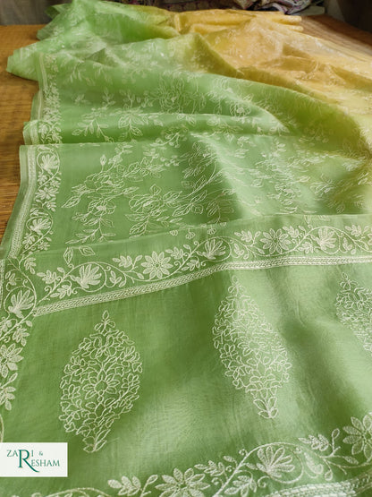 Pure Organza Silk Saree with Chikankari Embroidery Work in Dual Shade - Pista + Gold