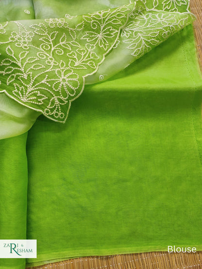 Pure Organza Silk Saree with Pearl Style Embroidery Work in Tied Dye Colour - Green